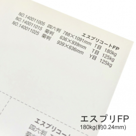エスプリFP 180kg(0.24mm)の商品画像