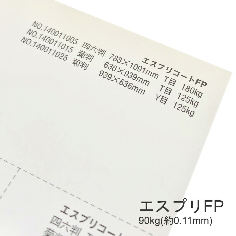 エスプリFP 90kg(0.11mm) 商品画像