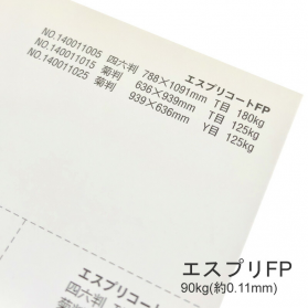 エスプリFP 90kg(0.11mm)の商品画像