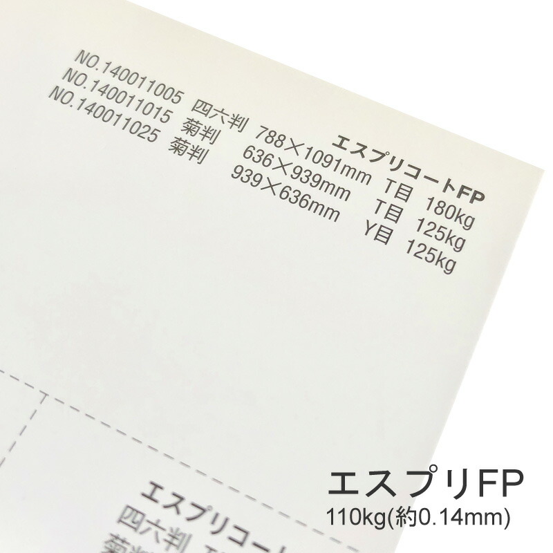 エスプリFP 110kg(0.14mm) 商品画像