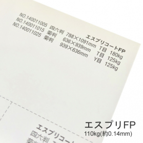 エスプリFP 110kg(0.14mm)の商品画像