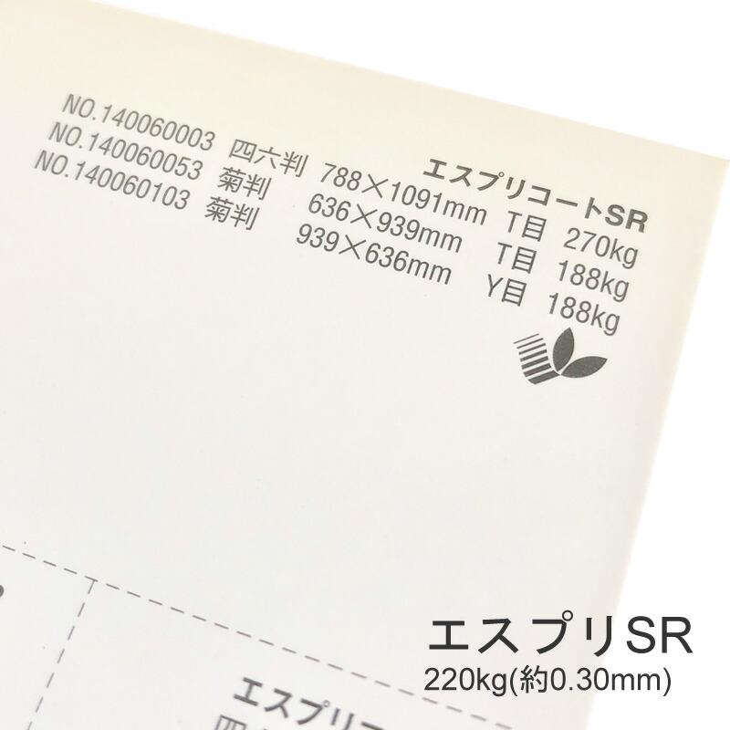 エスプリSR 220kg(0.30mm) 商品画像