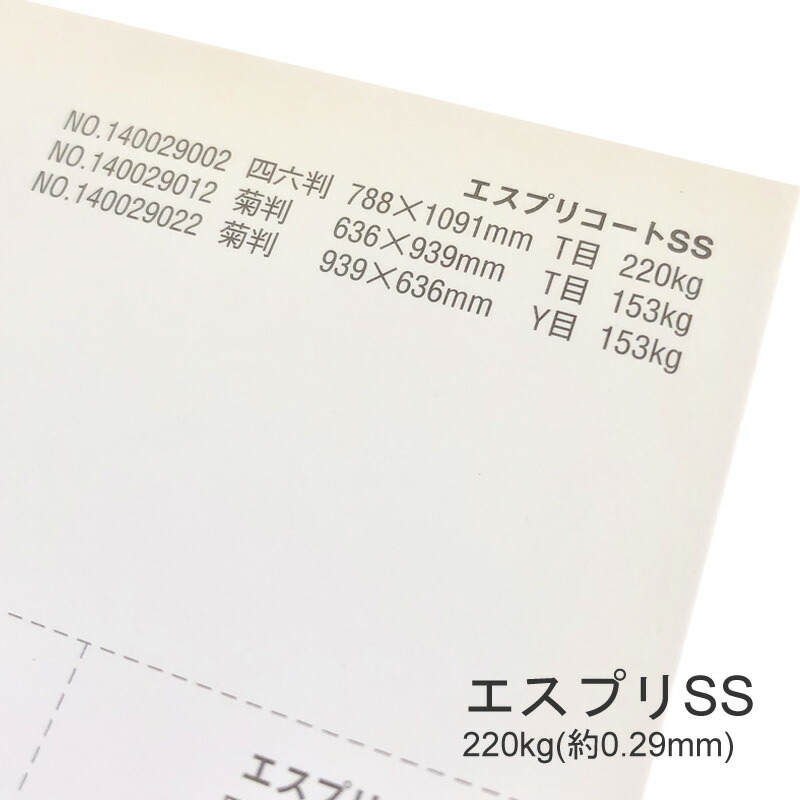 エスプリSS-F （旧：エスプリSS-CoC）220kg(0.29mm) 商品画像