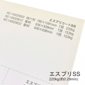 エスプリSS-CoC 220kg(0.29mm)の商品画像