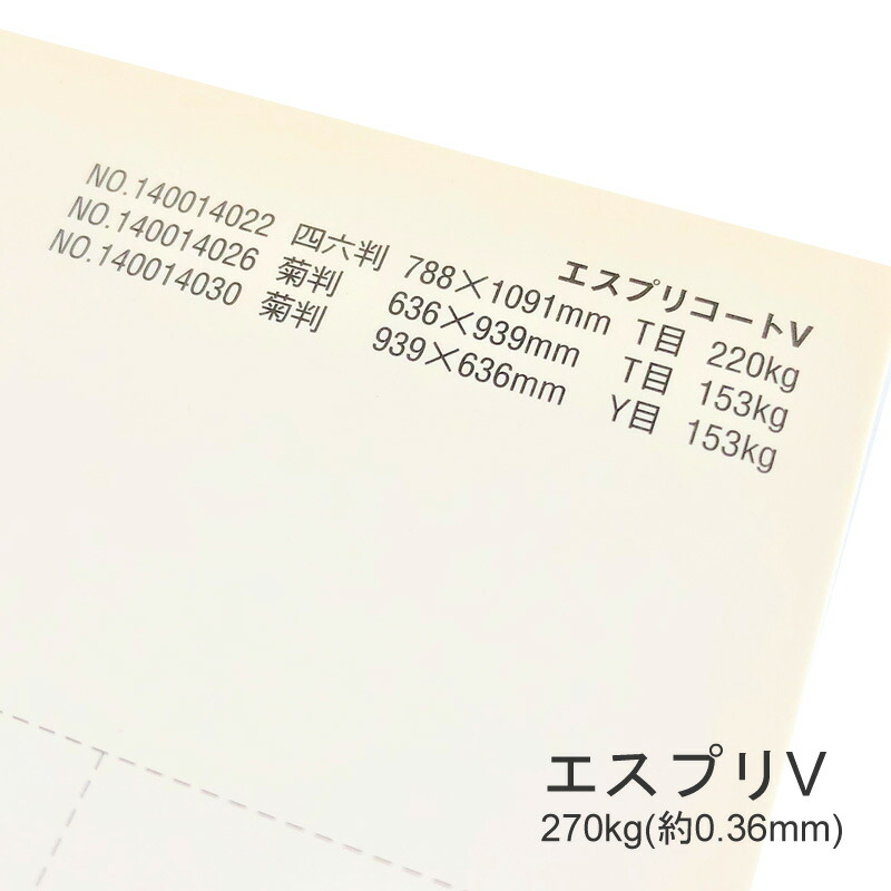 エスプリV 270kg(0.36mm) 商品画像サムネイル0