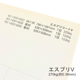 エスプリV 270kg(0.36mm)の商品画像