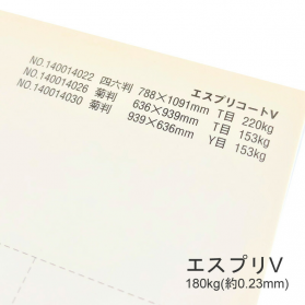 エスプリV 180kg(0.23mm)の商品画像