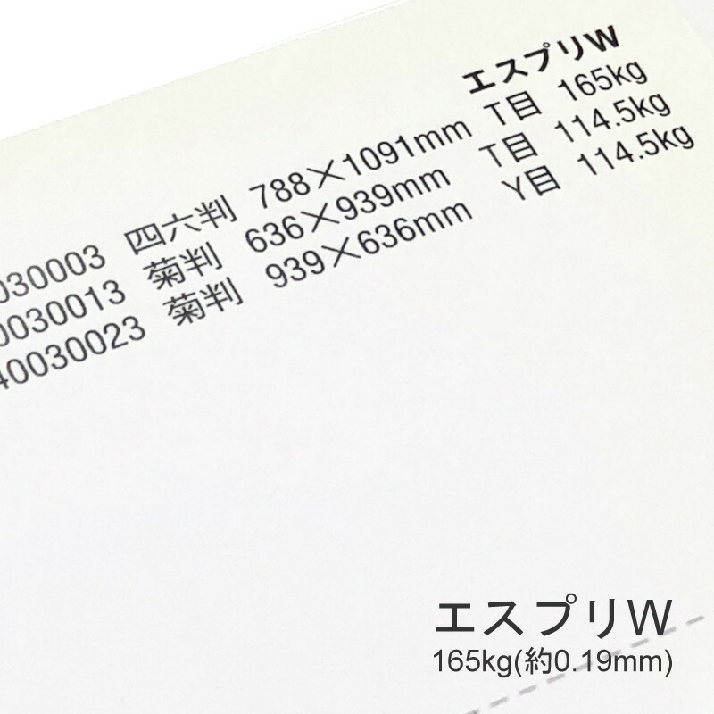 エスプリW 165kg(0.19mm) 商品画像