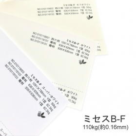 ミセスB-F 110kg(0.16mm)の商品画像