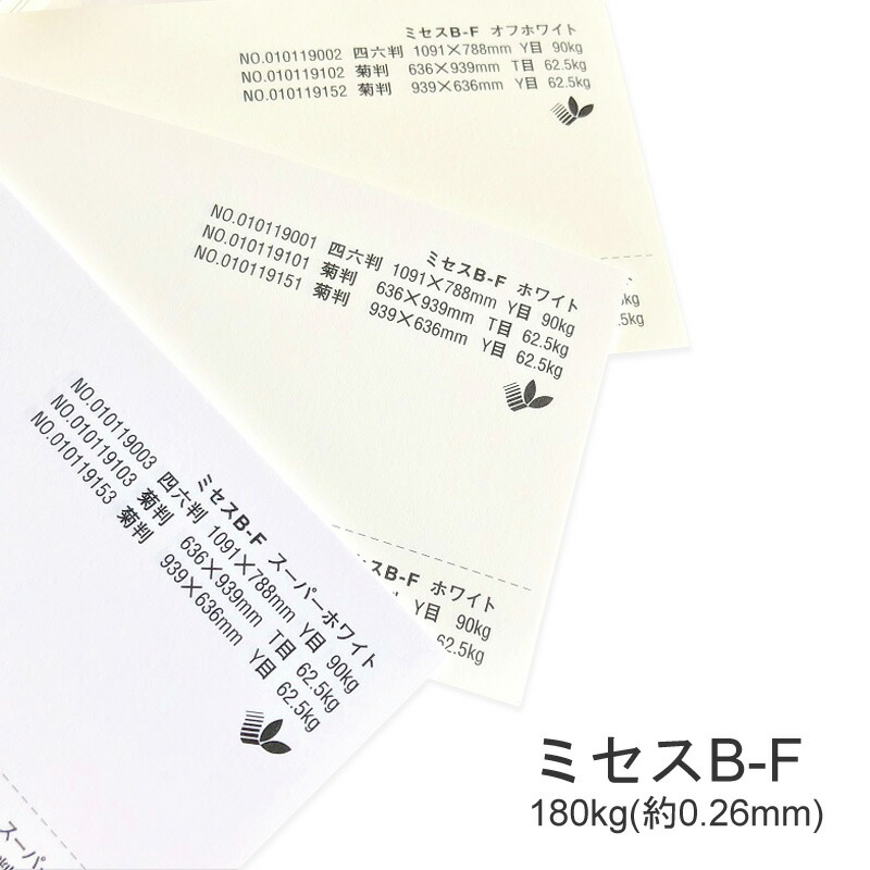 ミセスB-F 180kg(0.26mm) 商品画像