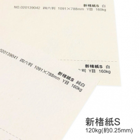 新楮紙S 120kg(0.25mm)の商品画像