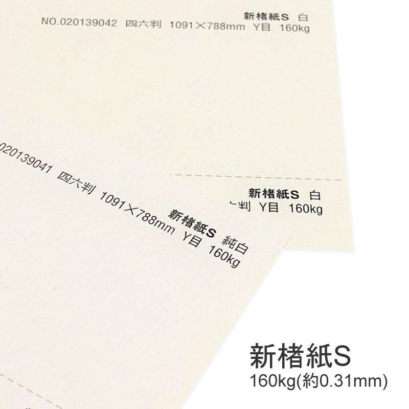 新楮紙S 160kg(0.31mm) 商品画像