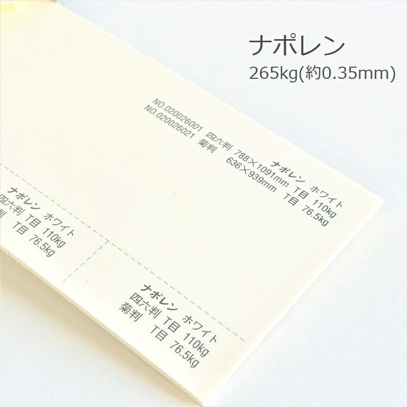 ナポレン 265kg(0.35mm) 商品画像