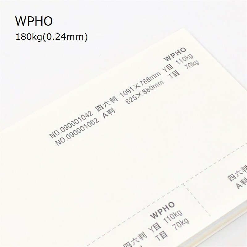 WPHO 180kg(0.24mm) 商品画像