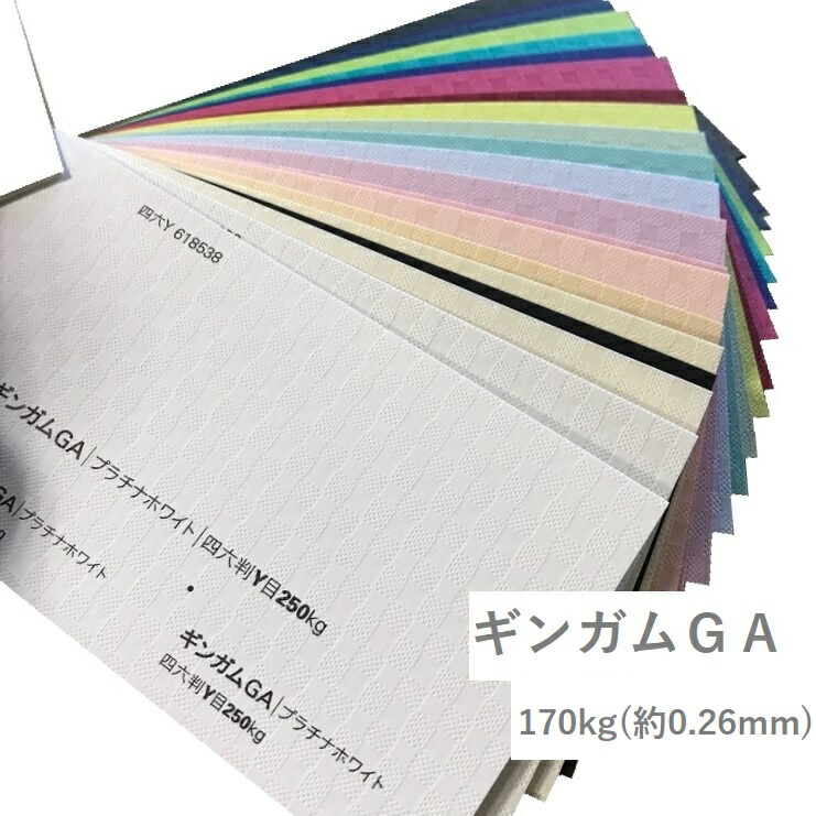 ギンガムGA 170kg(0.26mm) 商品画像