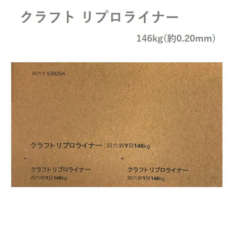 クラフト リプロライナー 146kg(0.20mm) 商品画像