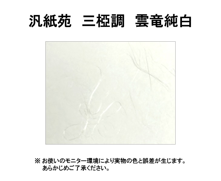 汎紙苑 三椏調 雲竜純白 51.6kg ( 0.10mm ) 和紙 商品画像サムネイル1